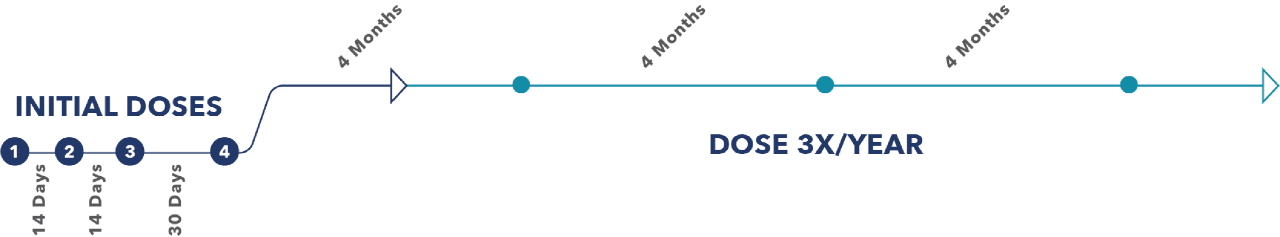 Image of the SPINRAZA dosing schedule