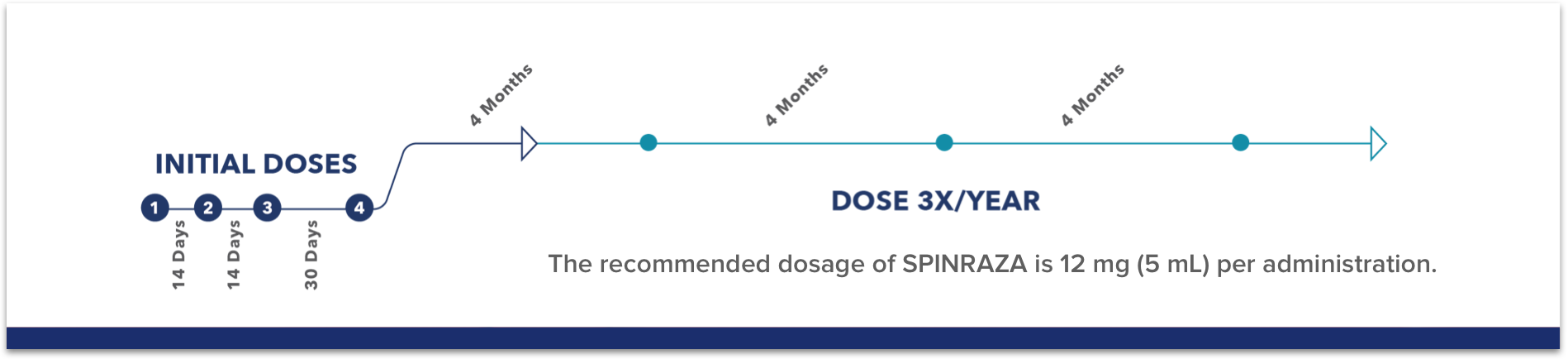 Infographic of dosing schedule: The recommended dosage of SPINRAZA is 12 mg (5 mL) per administration.